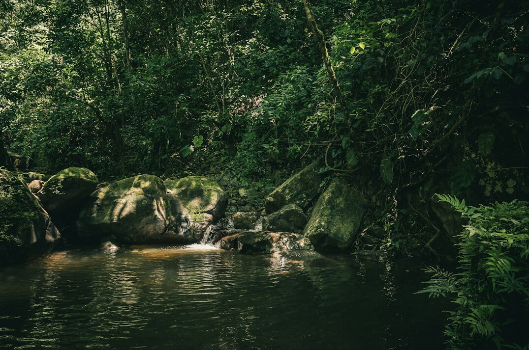 ancient ruins in amazon jungle