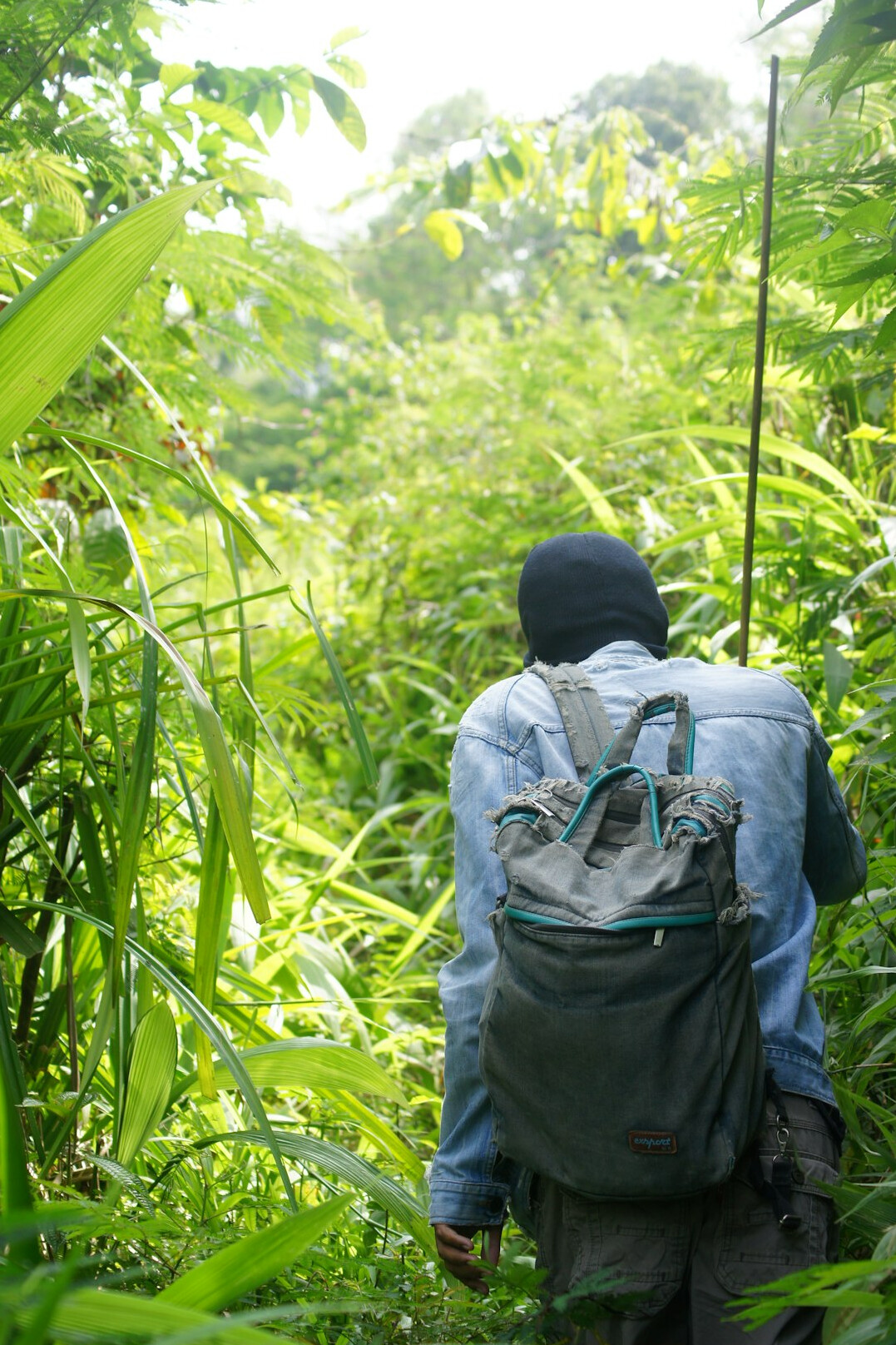indigenous guide in jungle